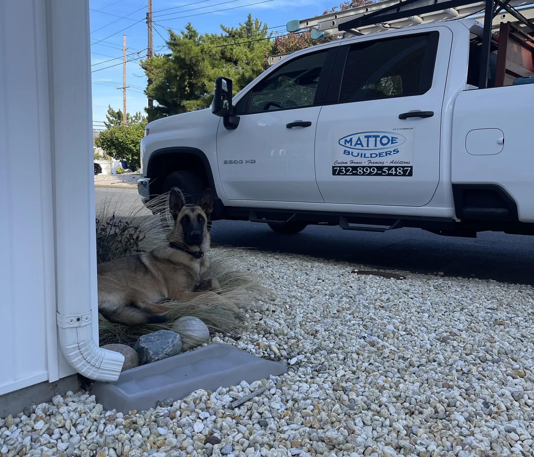 Mattoe Builders dog mascot resting in front of the company truck on a coastal jobsite